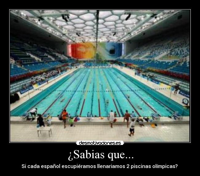 ¿Sabias que... - Si cada español escupiéramos llenariamos 2 piscinas olímpicas?