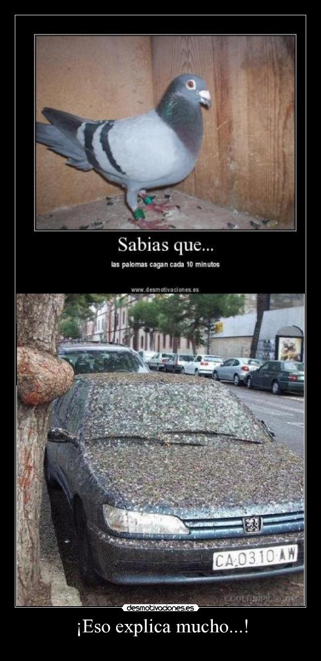 ¡Eso explica mucho...! -