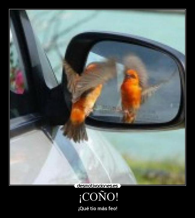 ¡COÑO! - ¡Qué tio más feo!