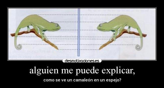 carteles curiosidad desmotivaciones