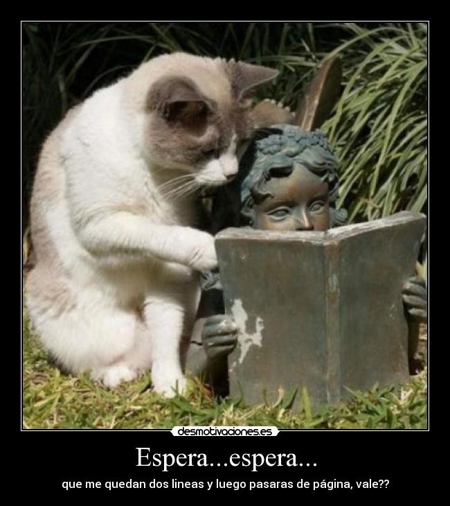 Espera...espera... -