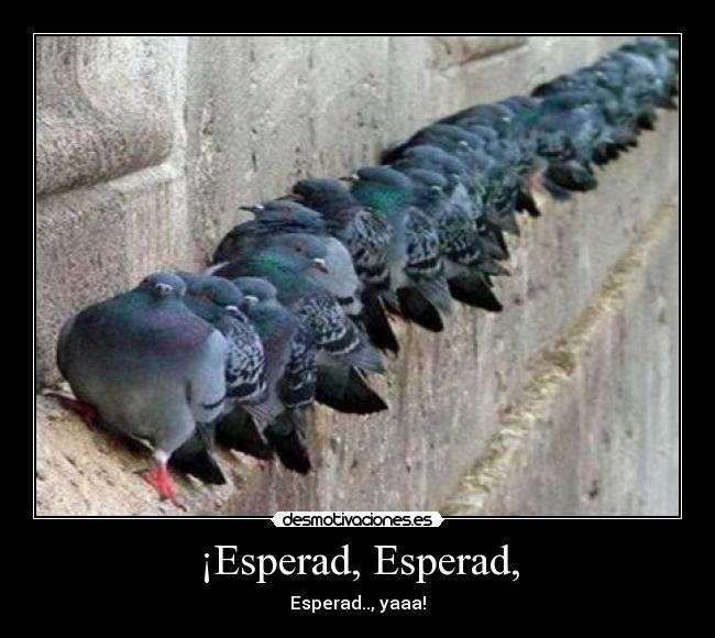 ¡Esperad, Esperad, - Esperad.., yaaa!
