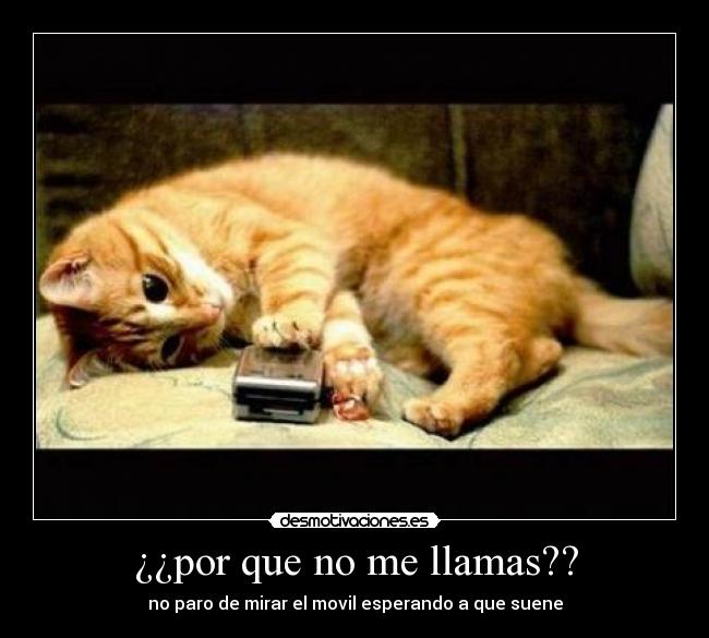¿¿por que no me llamas?? - no paro de mirar el movil esperando a que suene