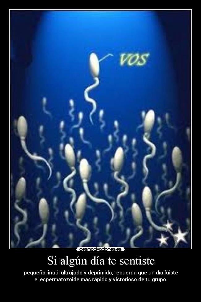 Si algún día te sentiste -