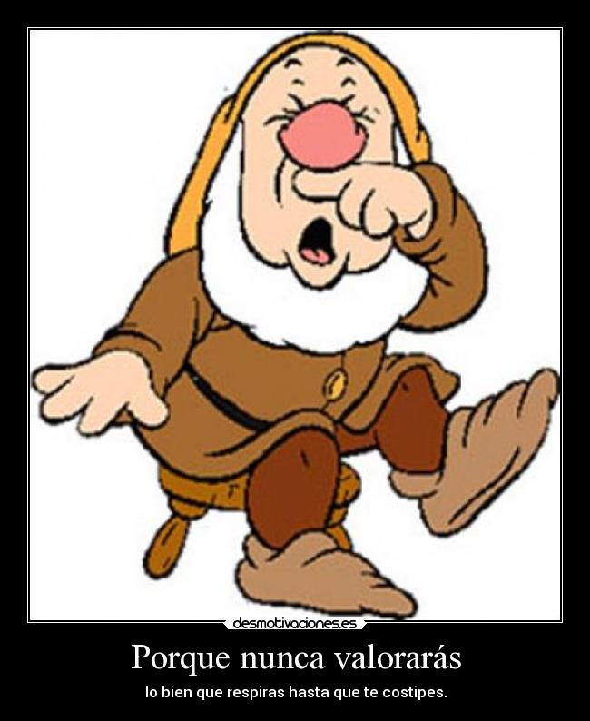 Porque nunca valorarás -