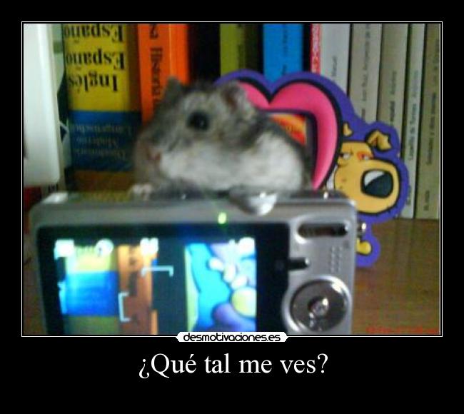 ¿Qué tal me ves? -
