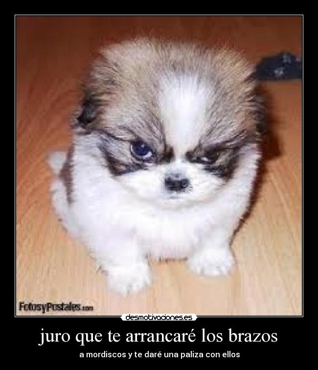 juro que te arrancaré los brazos - a mordiscos y te daré una paliza con ellos