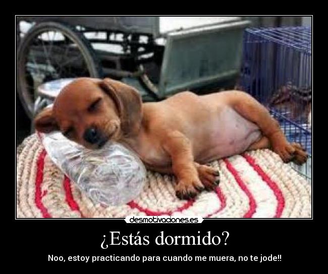 ¿Estás dormido? -