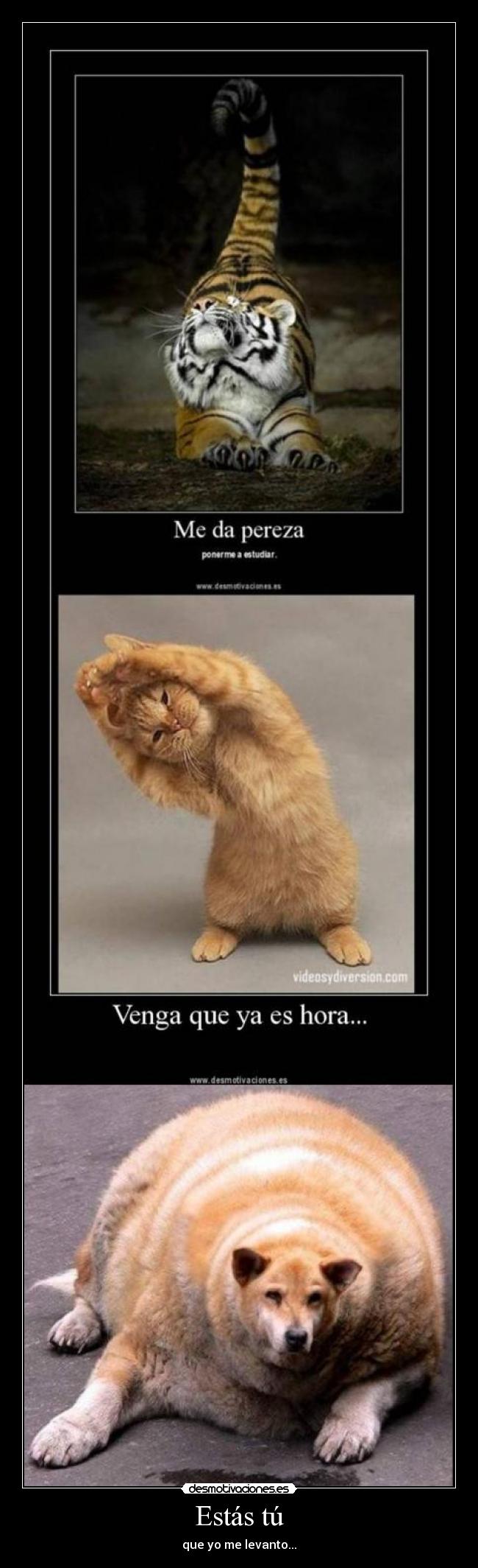 Estás tú - que yo me levanto...