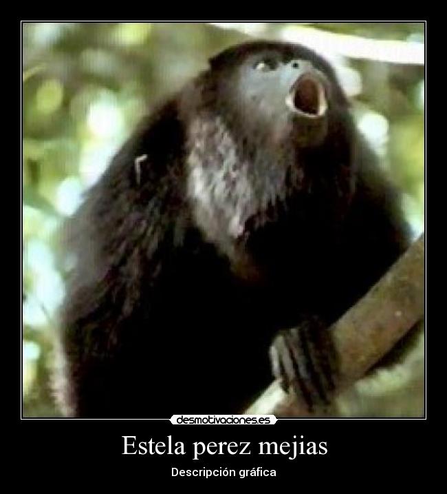 Estela perez mejias -