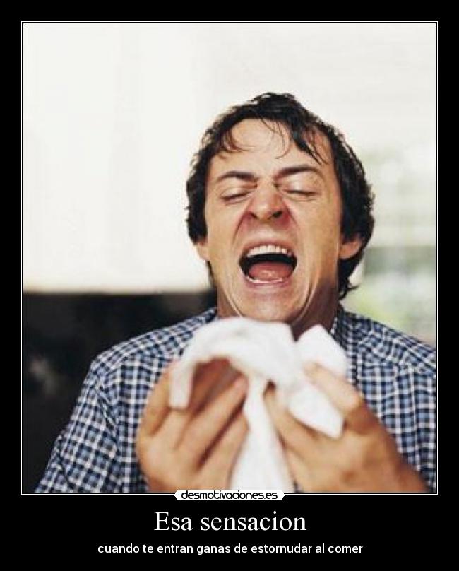Esa sensacion - cuando te entran ganas de estornudar al comer
