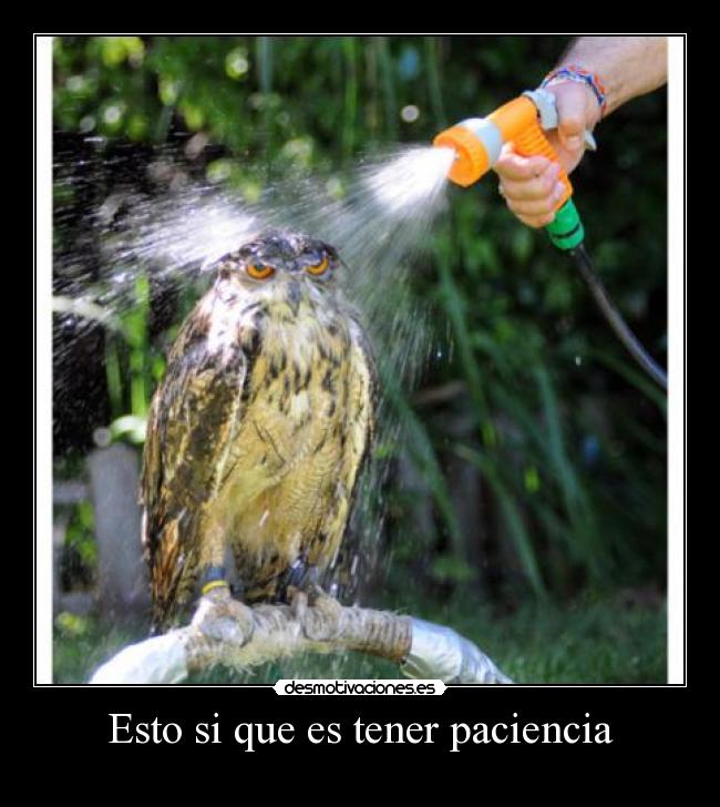 Esto si que es tener paciencia -
