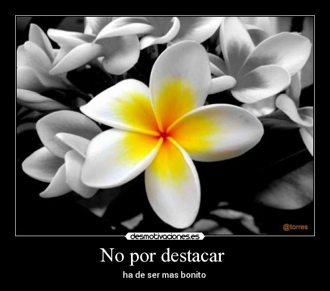 No por destacar - ha de ser mas bonito