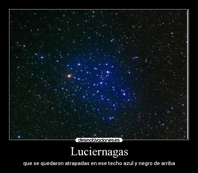 Luciernagas - que se quedaron atrapadas en ese techo azul y negro de arriba
