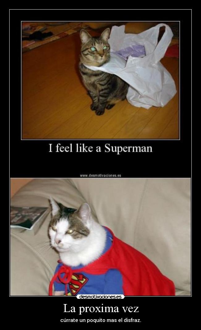 carteles superman gatos cartel desmo currate disfraz gato desmotivaciones