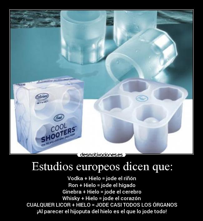 Estudios europeos dicen que: - Vodka + Hielo = jode el riñón
Ron + Hielo = jode el hígado
Ginebra + Hielo = jode el cerebro
Whisky + Hielo = jode el corazón
CUALQUIER LICOR + HIELO = JODE CASI TODOS LOS ÓRGANOS
¡Al parecer el hijoputa del hielo es el que lo jode todo!