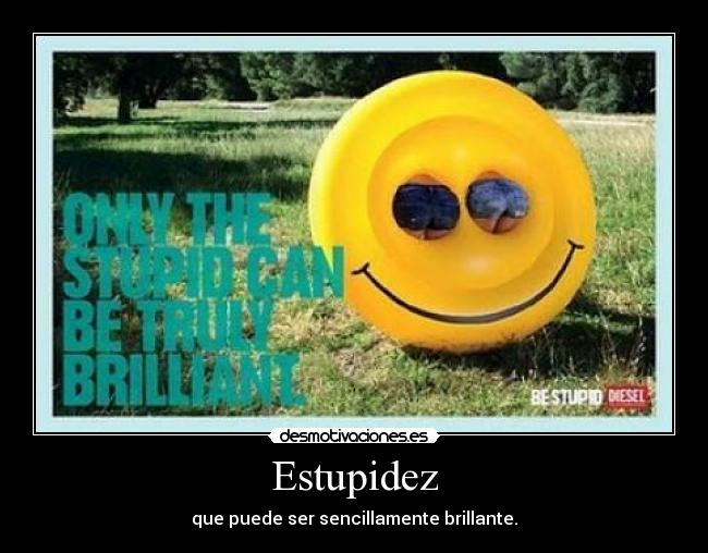 Estupidez -