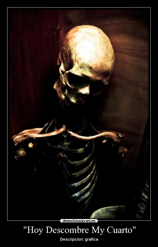 Hoy Descombre My Cuarto - Descripcion: grafica