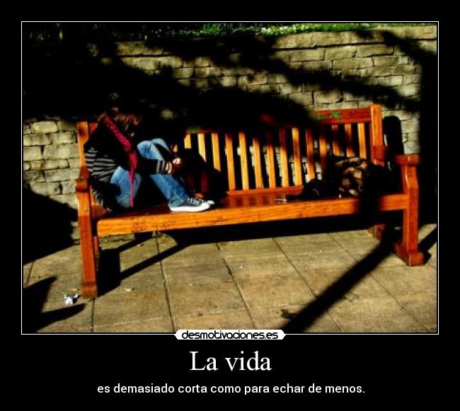 La vida - 