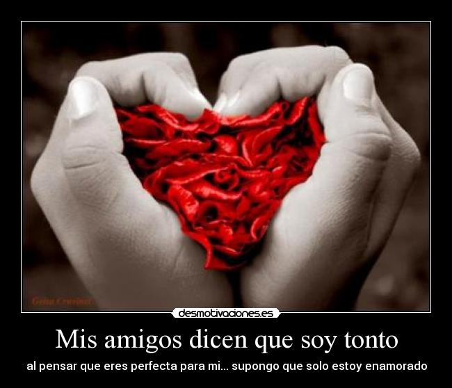 Mis amigos dicen que soy tonto - 