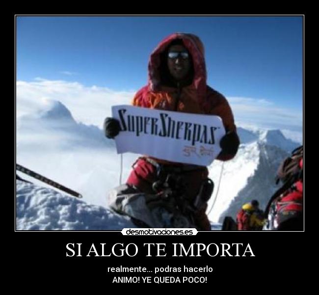 SI ALGO TE IMPORTA - realmente... podras hacerlo
ANIMO! YE QUEDA POCO!