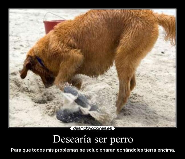 Desearía ser perro - Para que todos mis problemas se solucionaran echándoles tierra encima.