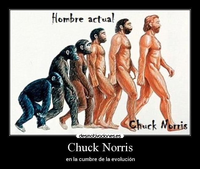 Chuck Norris -