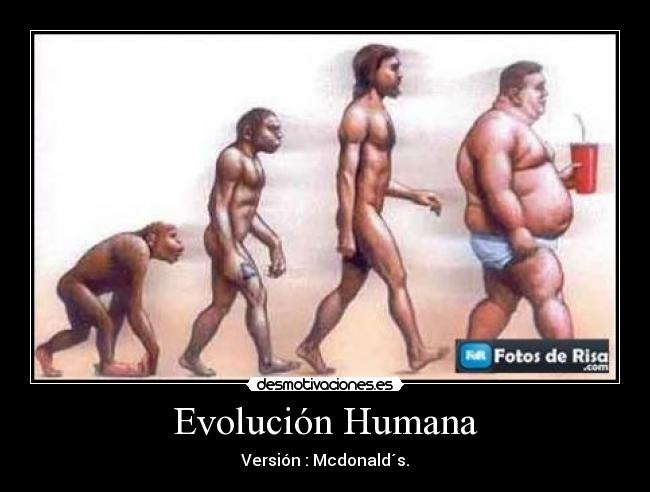 Evolución Humana -