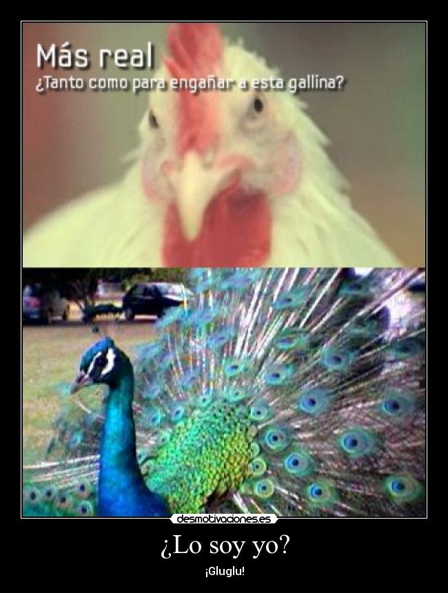 ¿Lo soy yo? - ¡Gluglu!