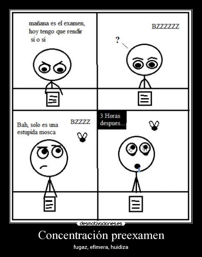 Concentración preexamen -
