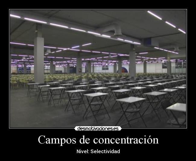 Campos de concentración - Nivel: Selectividad