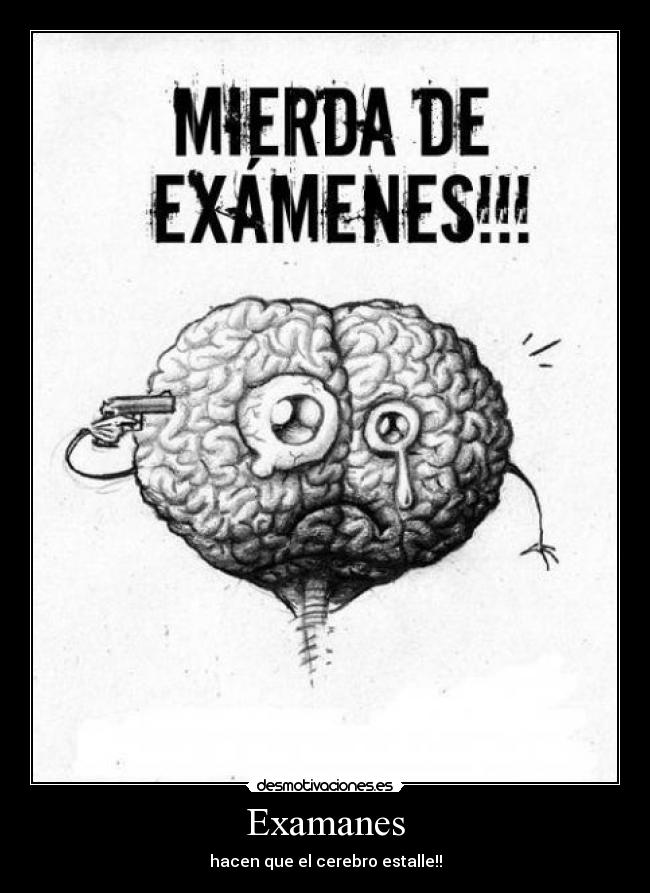 Examanes - hacen que el cerebro estalle!!