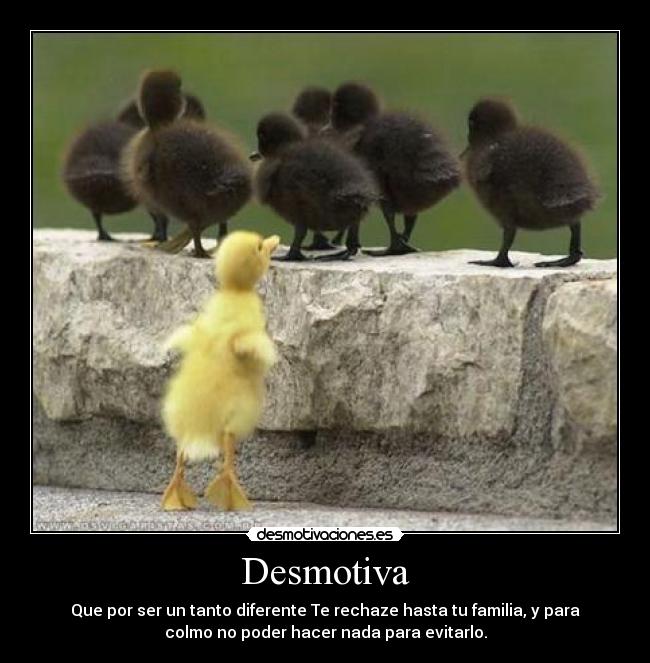 Desmotiva - Que por ser un tanto diferente Te rechaze hasta tu familia, y para
colmo no poder hacer nada para evitarlo.