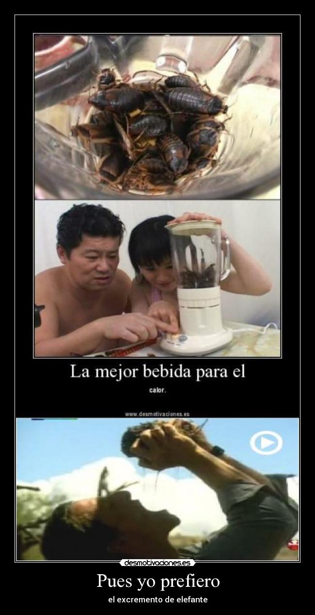 Pues yo prefiero - el excremento de elefante