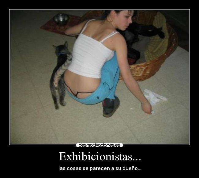carteles exhibicionistas gatos desmotivaciones