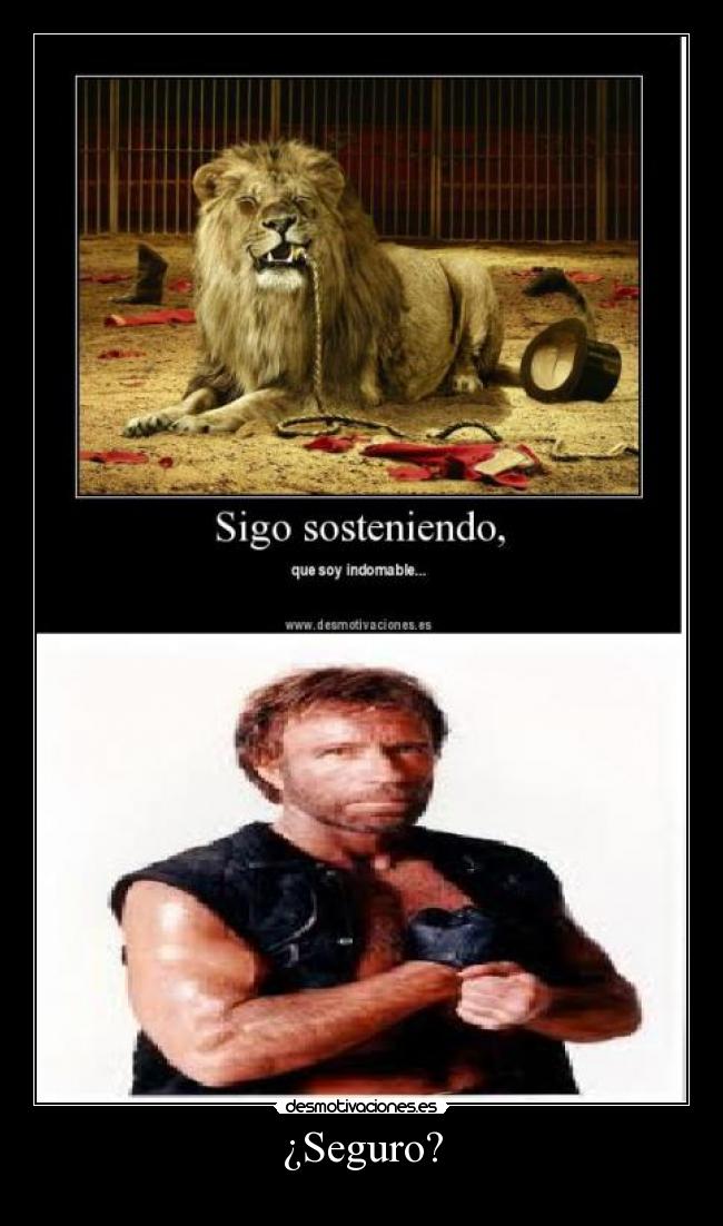 carteles seguro desmotivaciones