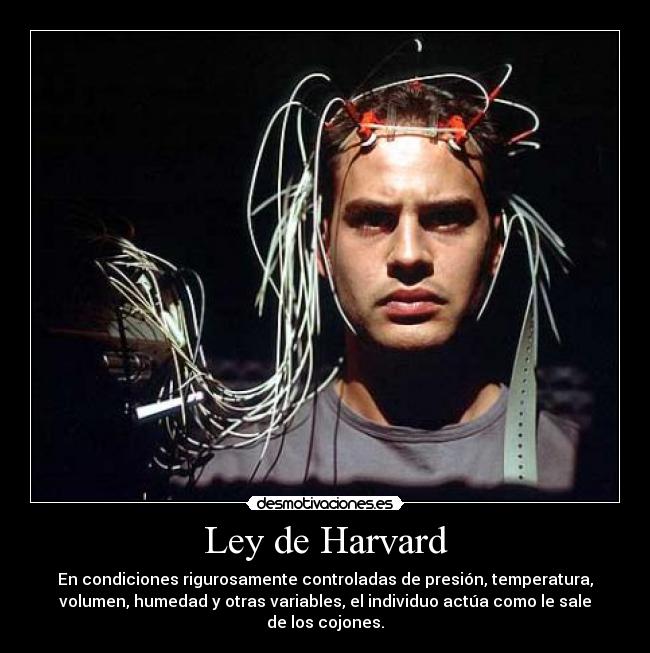 Ley de Harvard - En condiciones rigurosamente controladas de presión, temperatura,
volumen, humedad y otras variables, el individuo actúa como le sale
de los cojones.