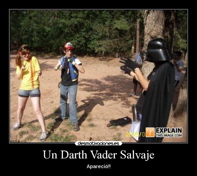 Un Darth Vader Salvaje -