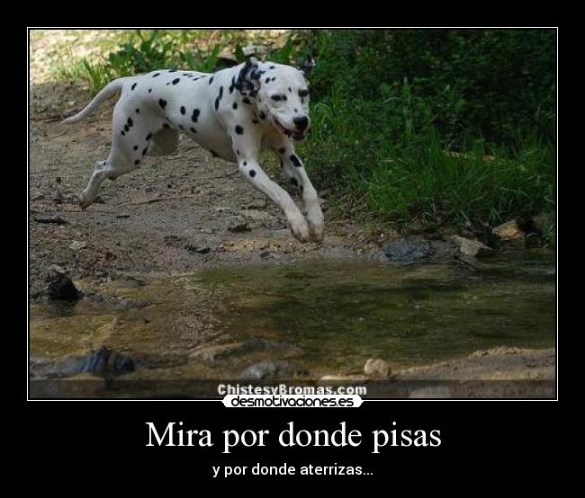 Mira por donde pisas - y por donde aterrizas...