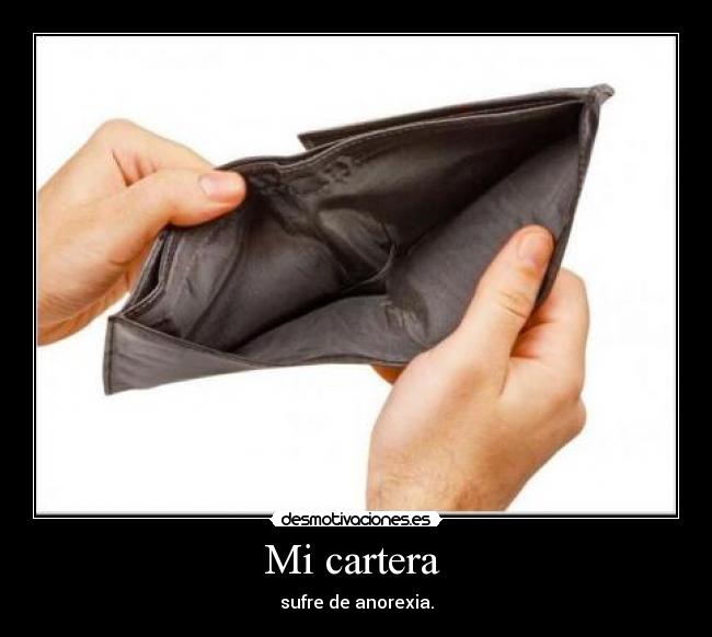 Mi cartera  - 