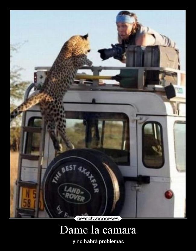 Dame la camara - y no habrá problemas