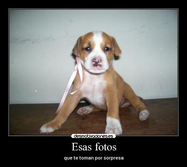 Esas fotos - que te toman por sorpresa