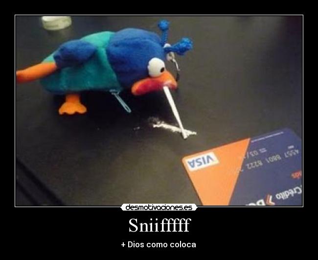 Sniifffff - + Dios como coloca 