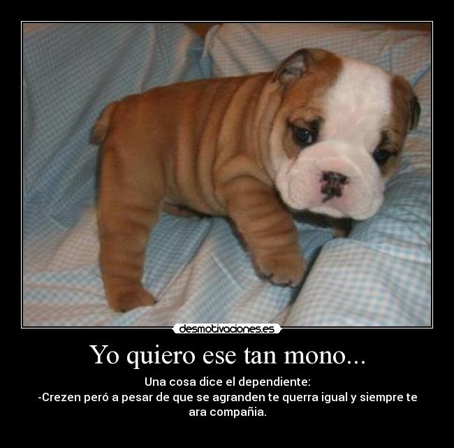 Yo quiero ese tan mono... -