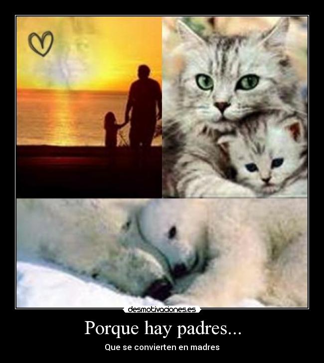 Porque hay padres... - Que se convierten en madres♥