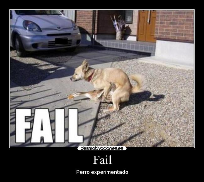 Fail - 