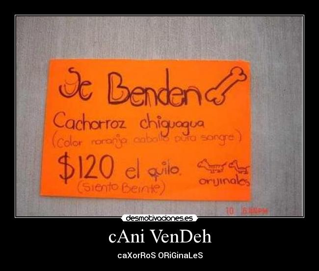 cAni VenDeh - 