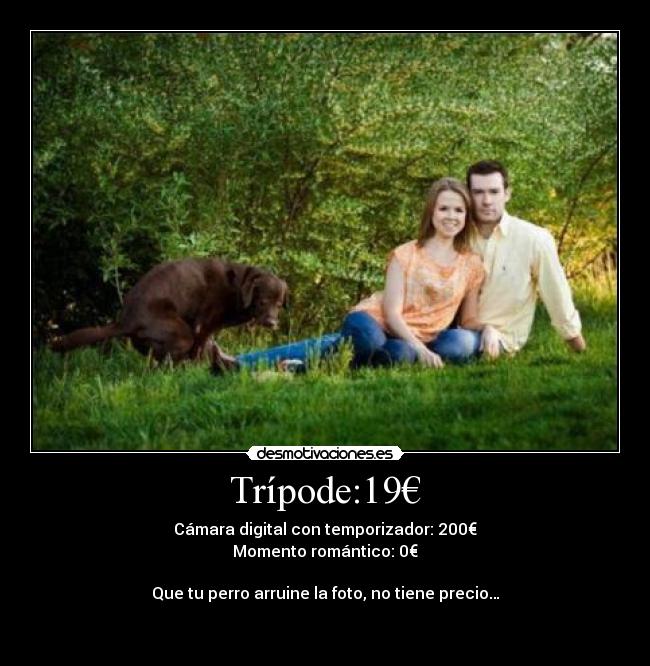 Trípode:19€ -