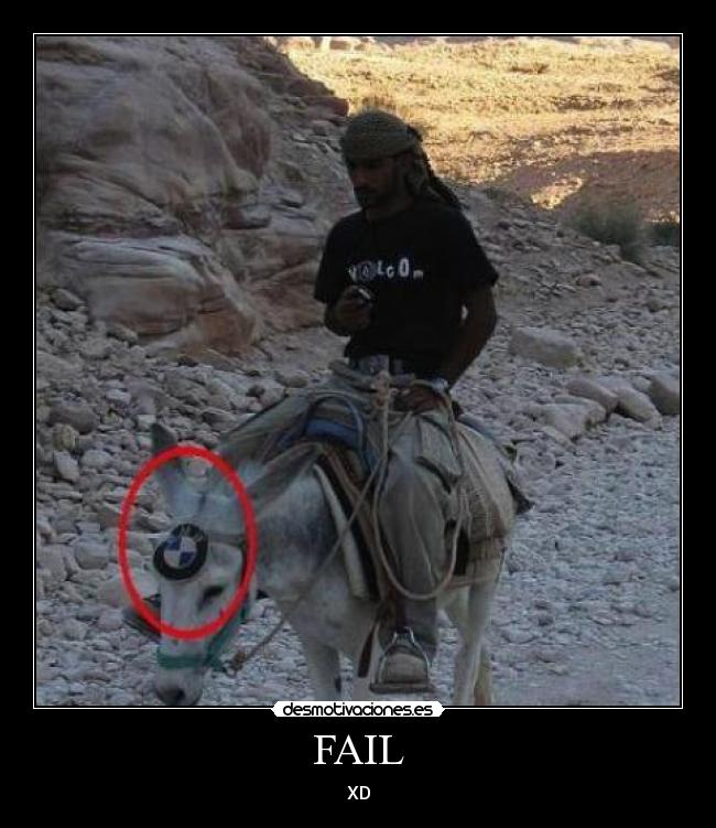 carteles fail desmotivaciones