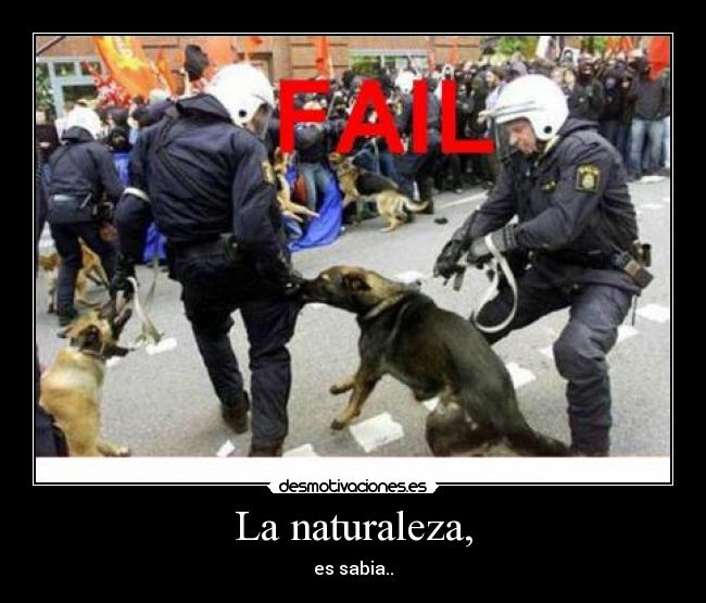 La naturaleza, - es sabia..